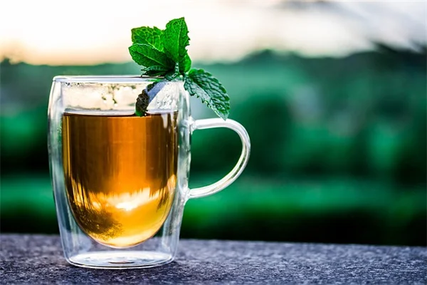 エキナセア収穫のコツ：お茶・チンキに使う実践ガイド