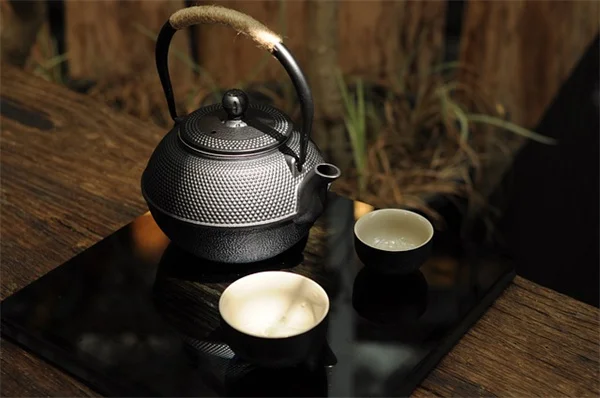 植物のアルミホイル鉢カバー、本当に必要？プロが教える3つの正解